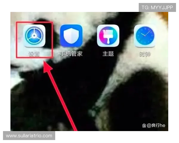 如何通过手机轻松登录ag贵宾厅实现便捷娱乐与账户管理 如何通过手机轻松登录ag贵宾厅实现便捷娱乐与账户管理