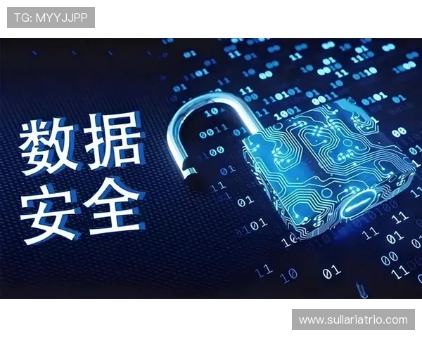 K8平台官网加强安全措施,保障用户数据隐私与交易安全的全面升级 K8平台官网加强安全措施,保障用户数据隐私与交易安全的全面升级