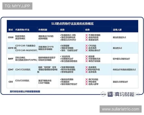 选择DB真人旗舰中国集团的五大理由，满足玩家对安全与娱乐的双重需求